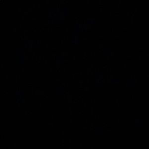 Meet your Posher, Ariana